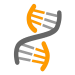 RNA & DNA
